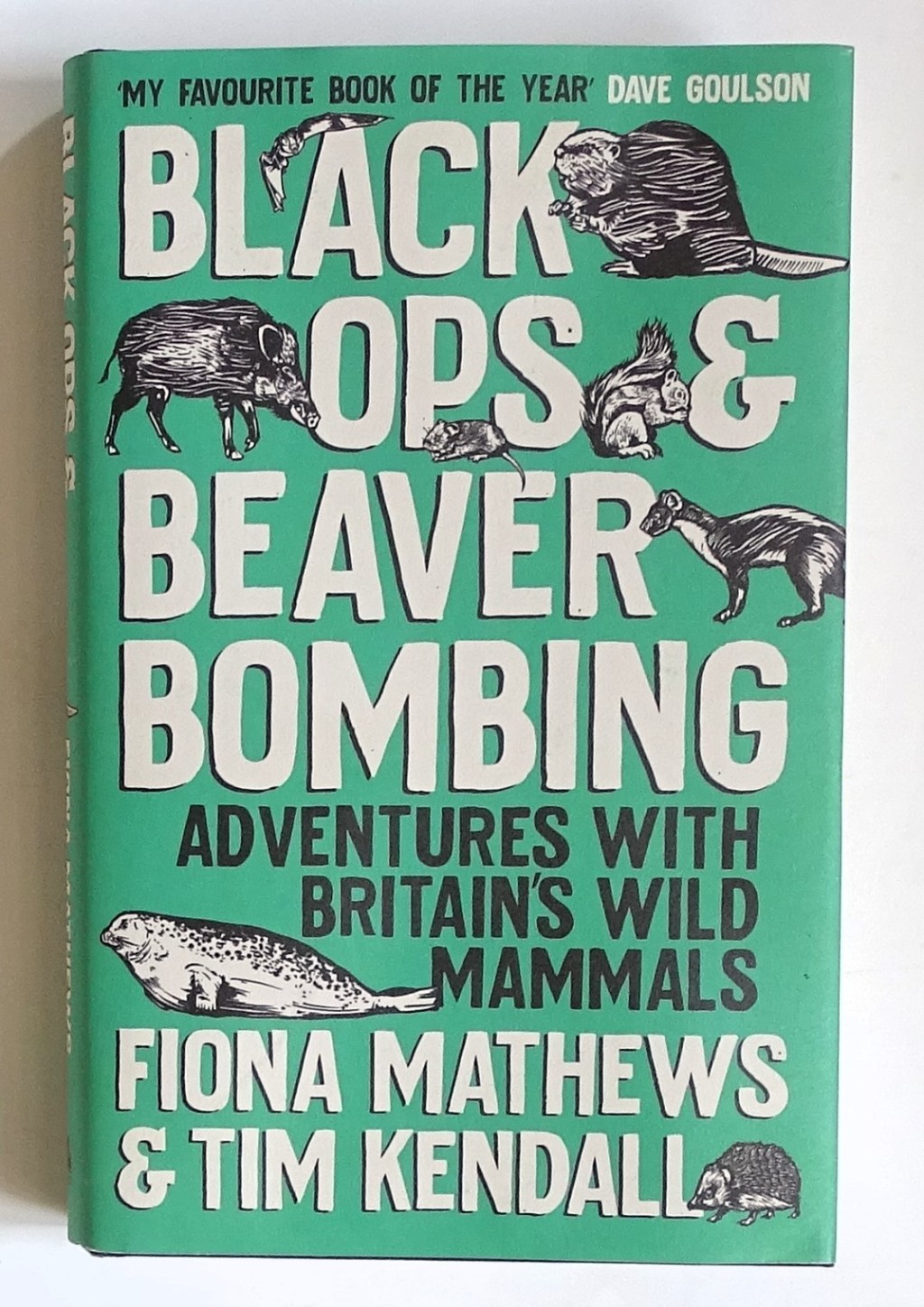 Beaver bombs part II