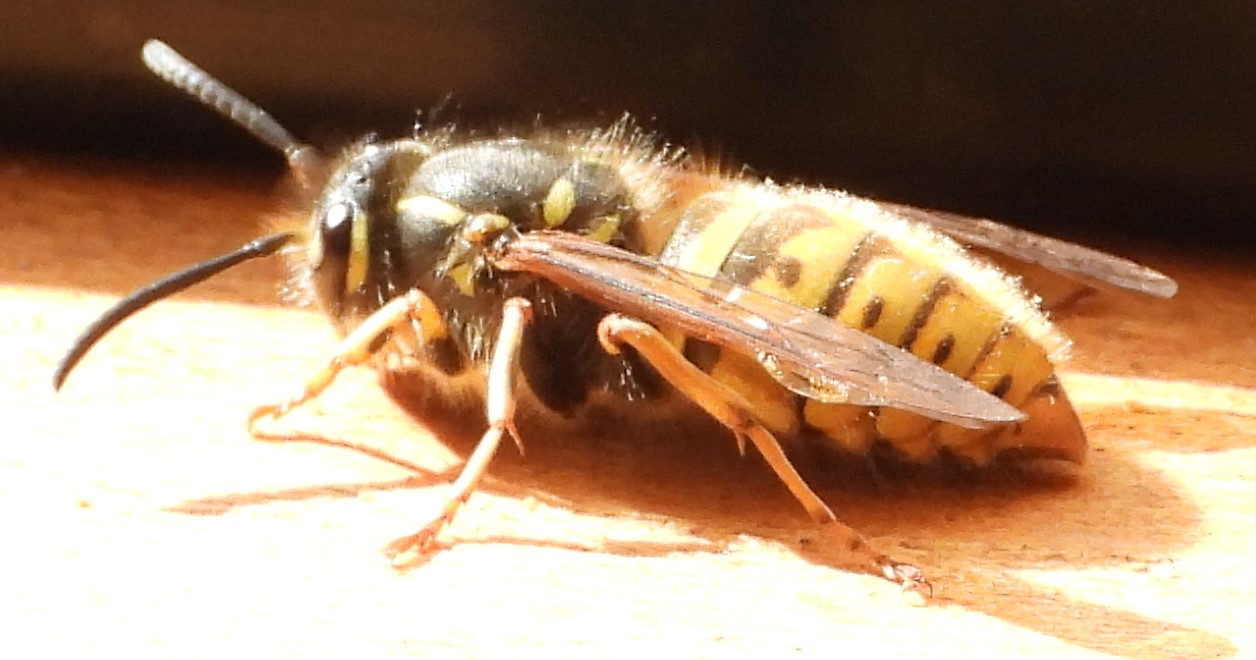 Amazon’s concept of gardening