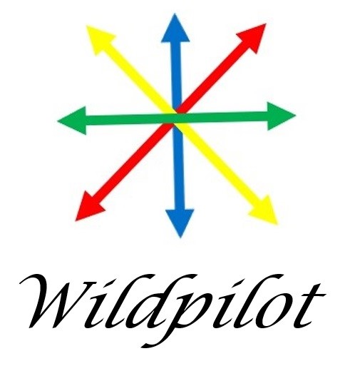 Wildpilot I – two local businesses, Amazon and Currys