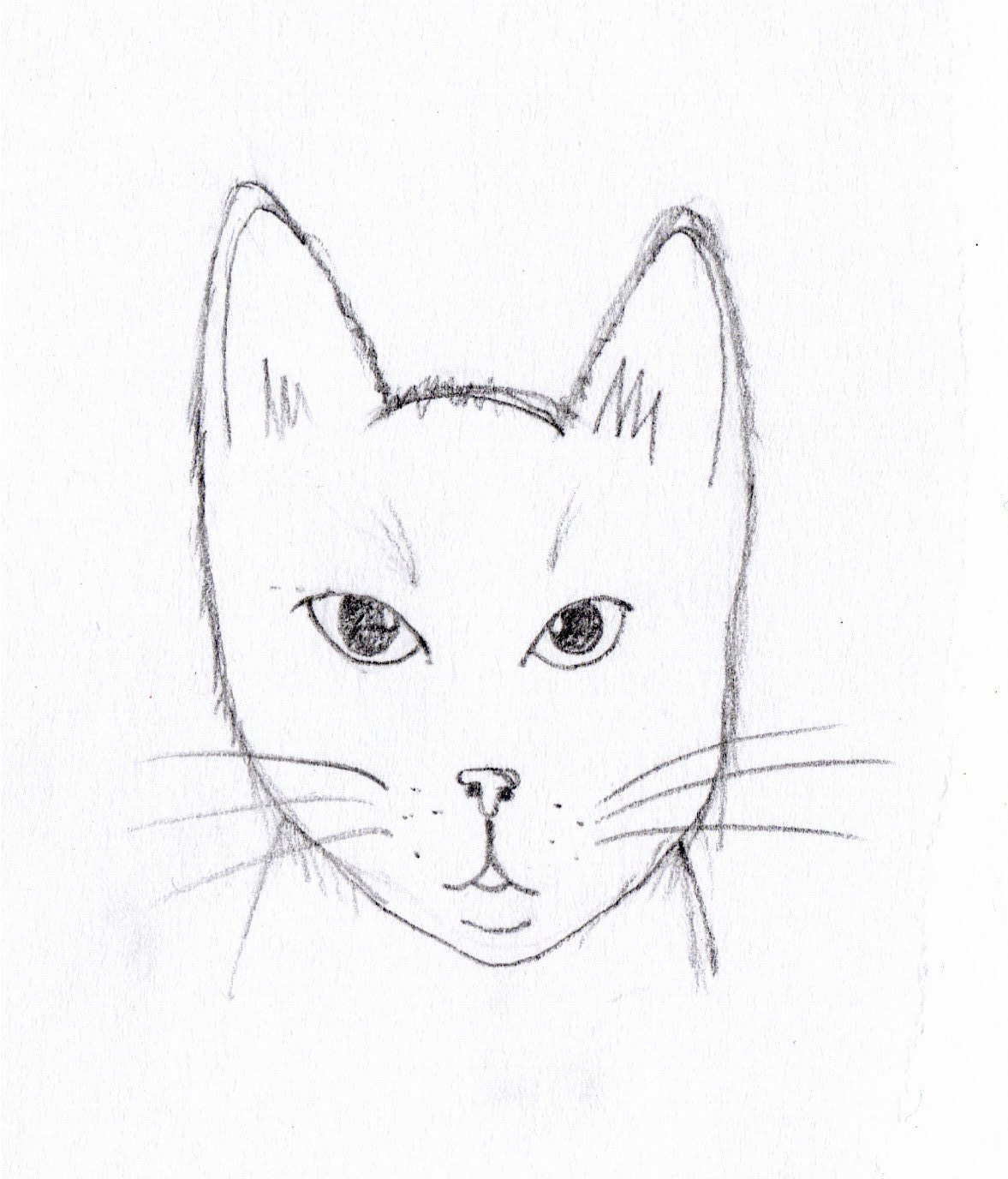 Every Animal Is Someone