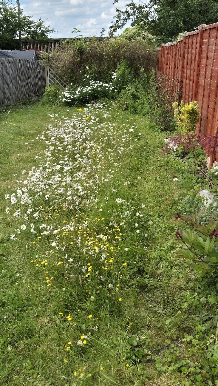 Gardening for wildlife