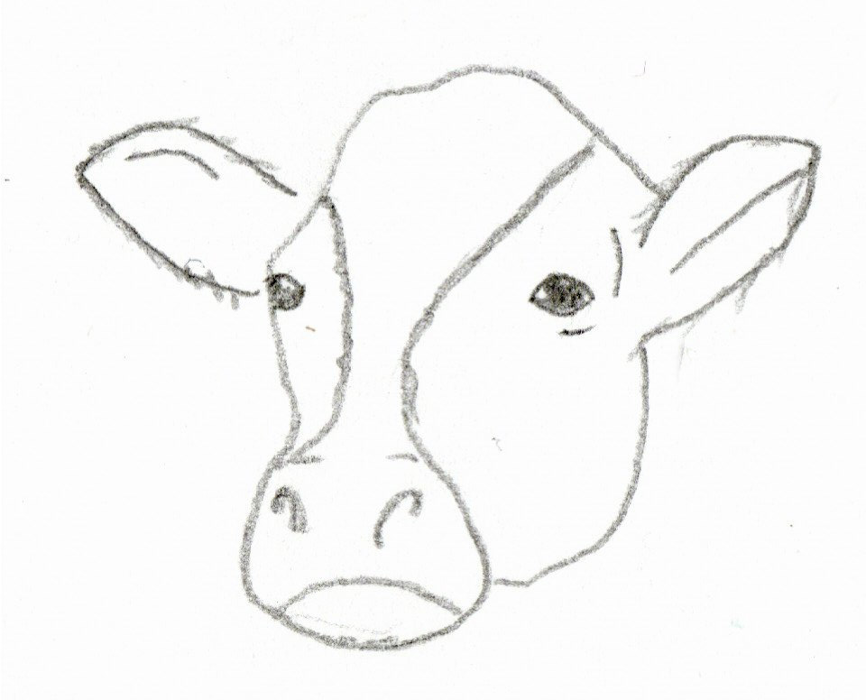 PETA calls for Levi’s boycott and Compassion in world farming