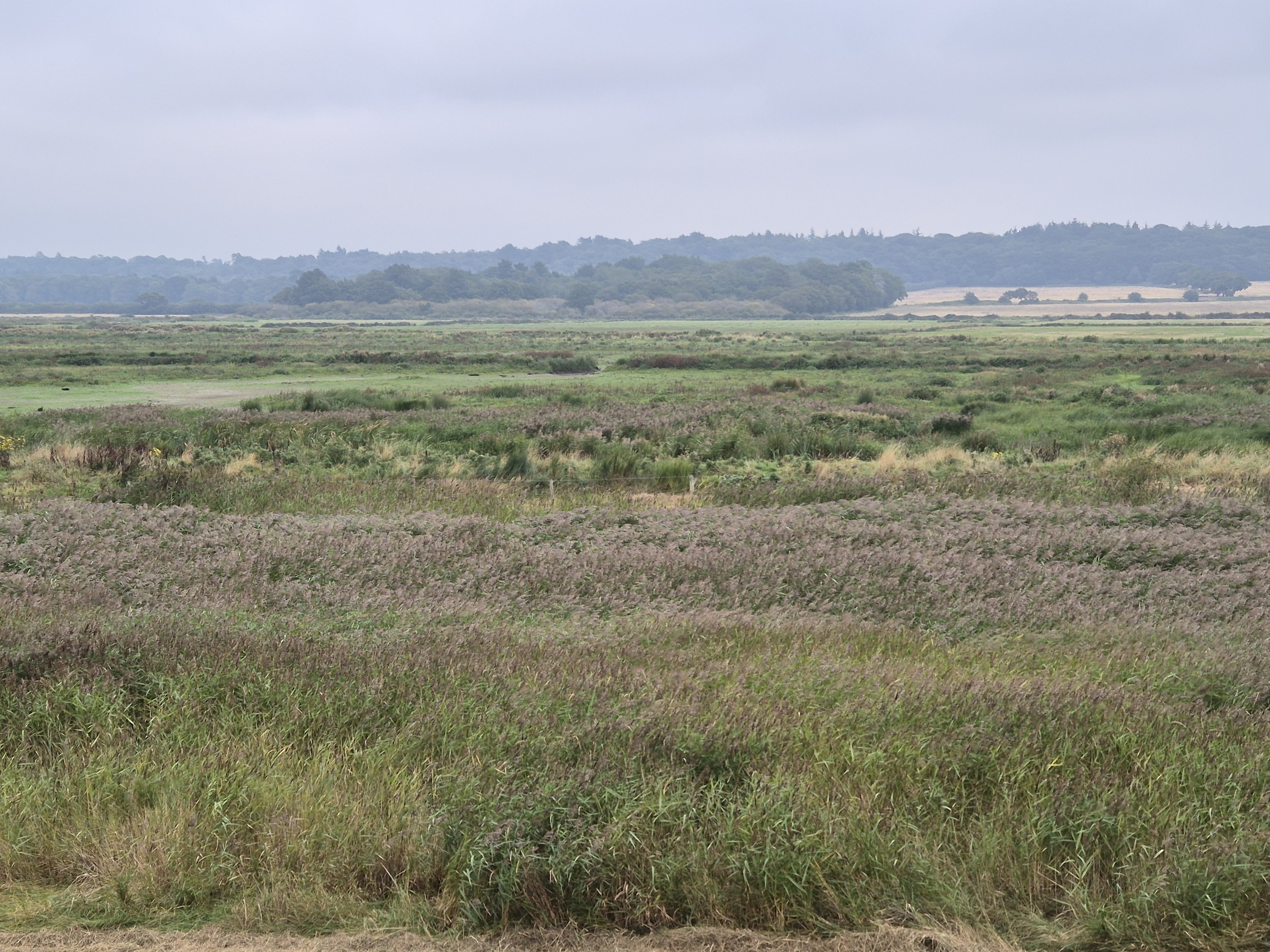 Wonders of wildlife in Norfolk part I