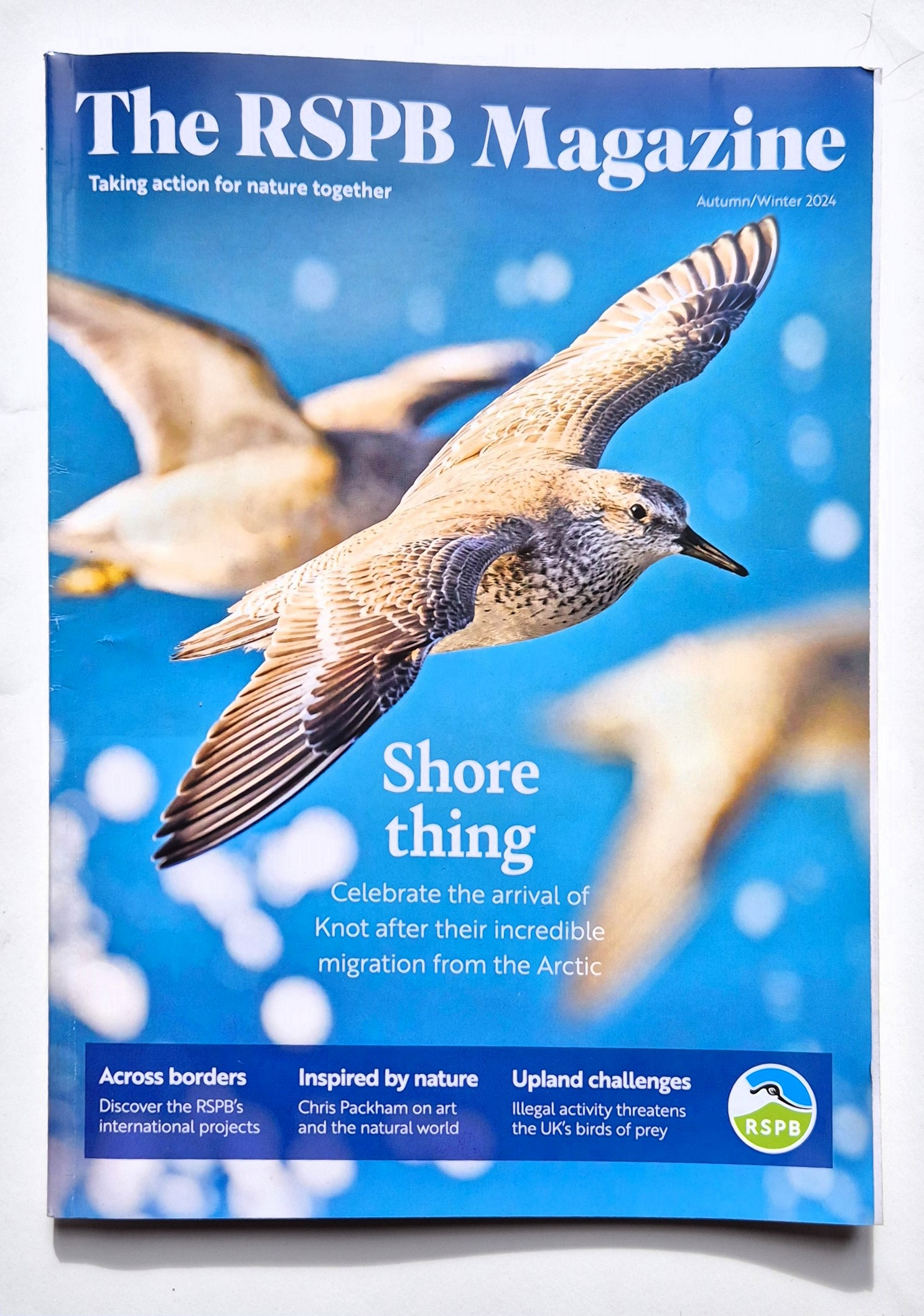 Birdwatch / BTO News / The RSPB Magazine Autumn 2024
