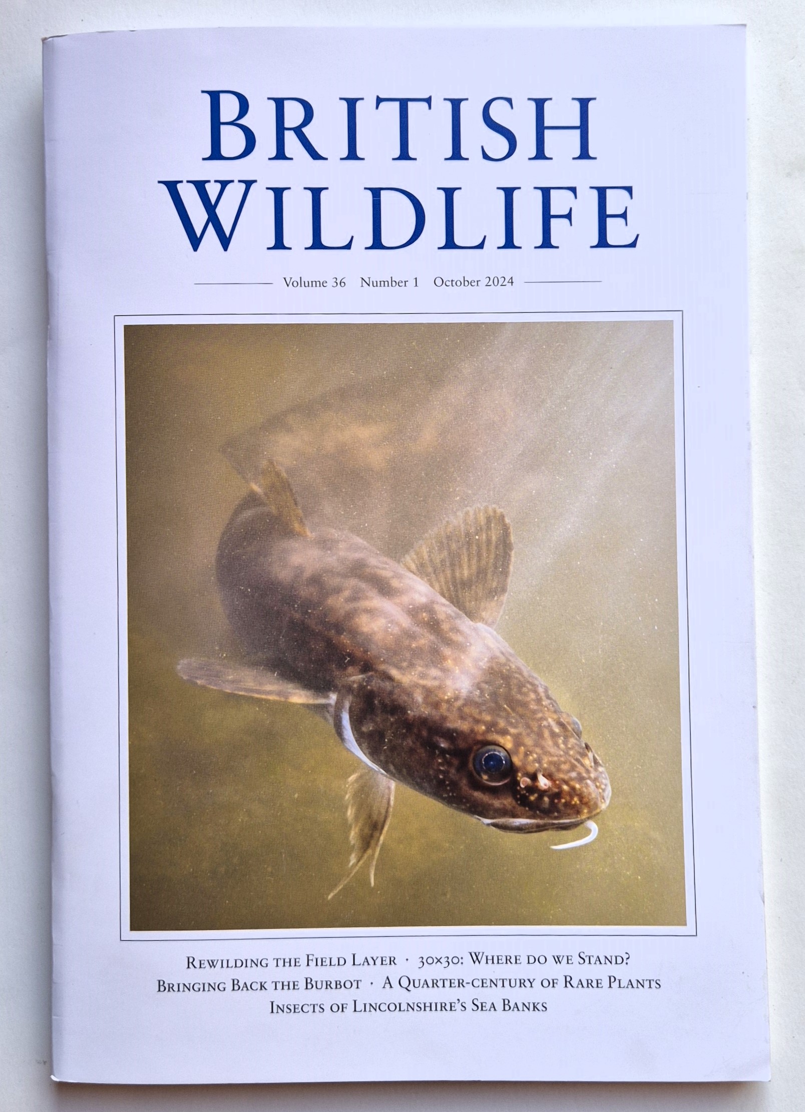 British Wildlife magazine October 2024