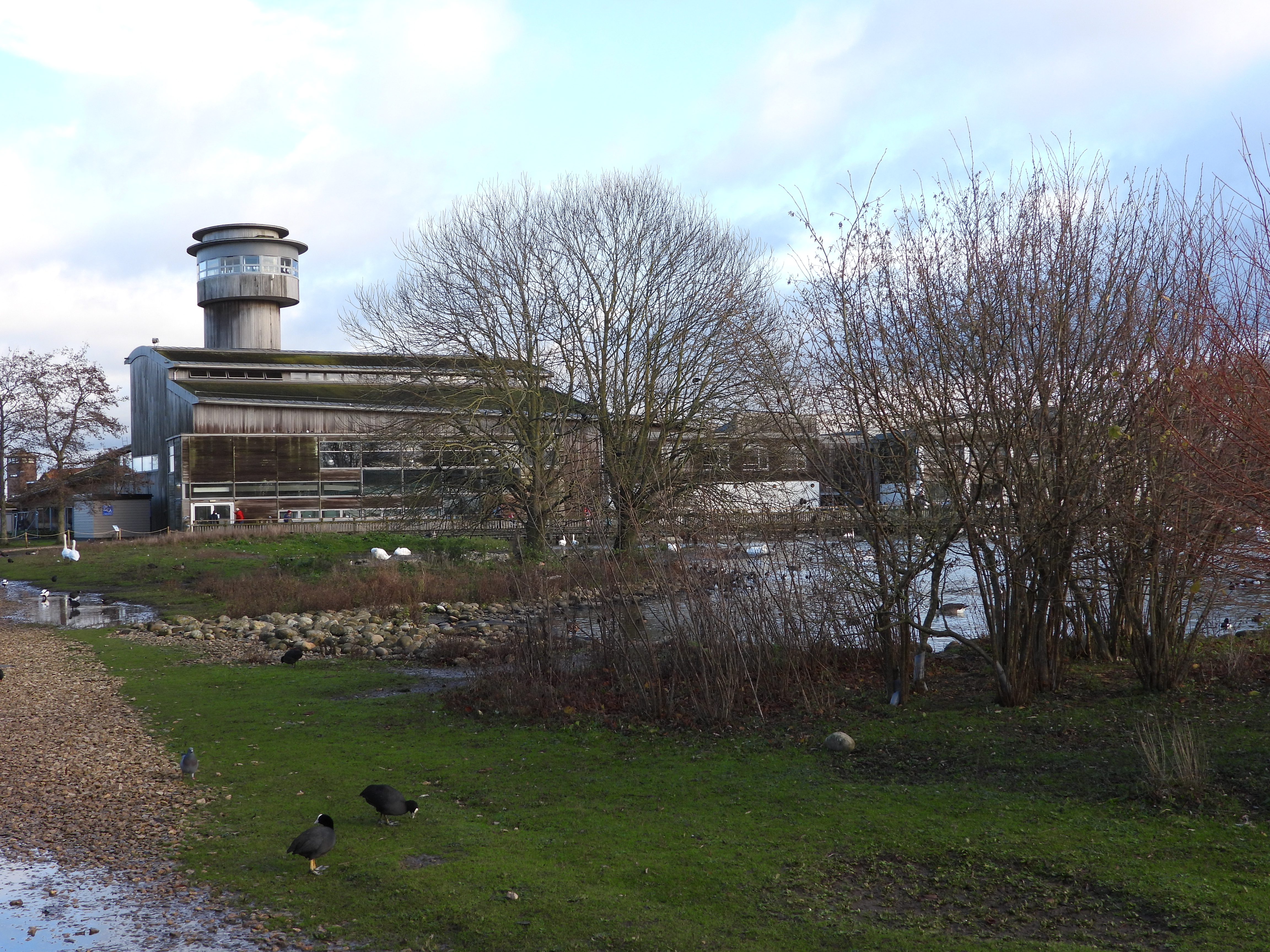Slimbridge Wetland Centre