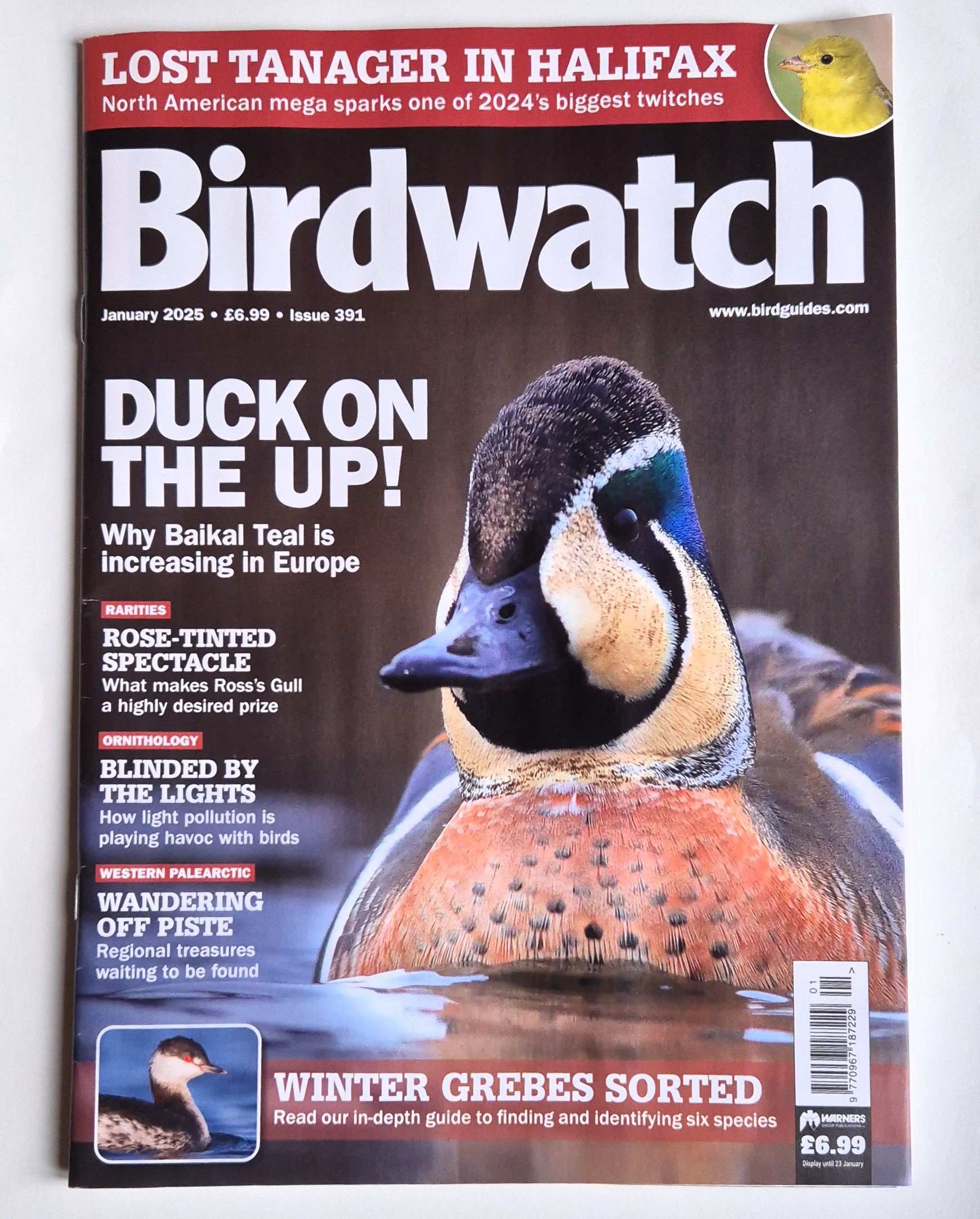 Birdwatch, HART Wildlife Rescue and other wildlife notes and news