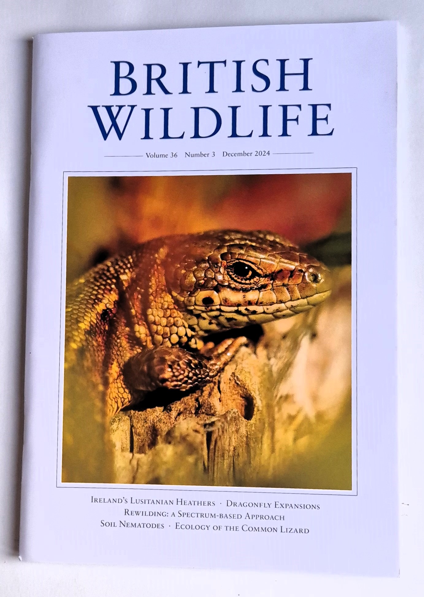 British Wildlife magazine December 2024; Birdwatch February 2025
