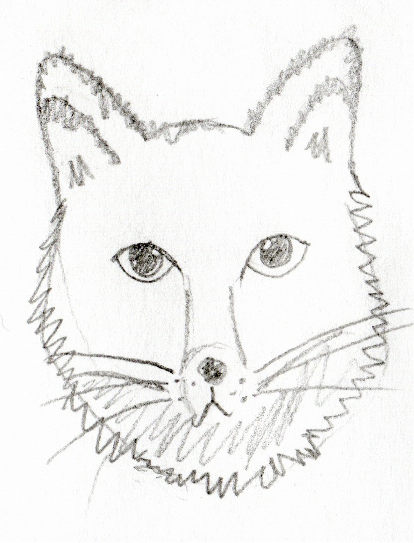 Vulpines, vicars and vets, Bill Bailey’s latest book, raptor decoys, zonkeys and Brocken spectres