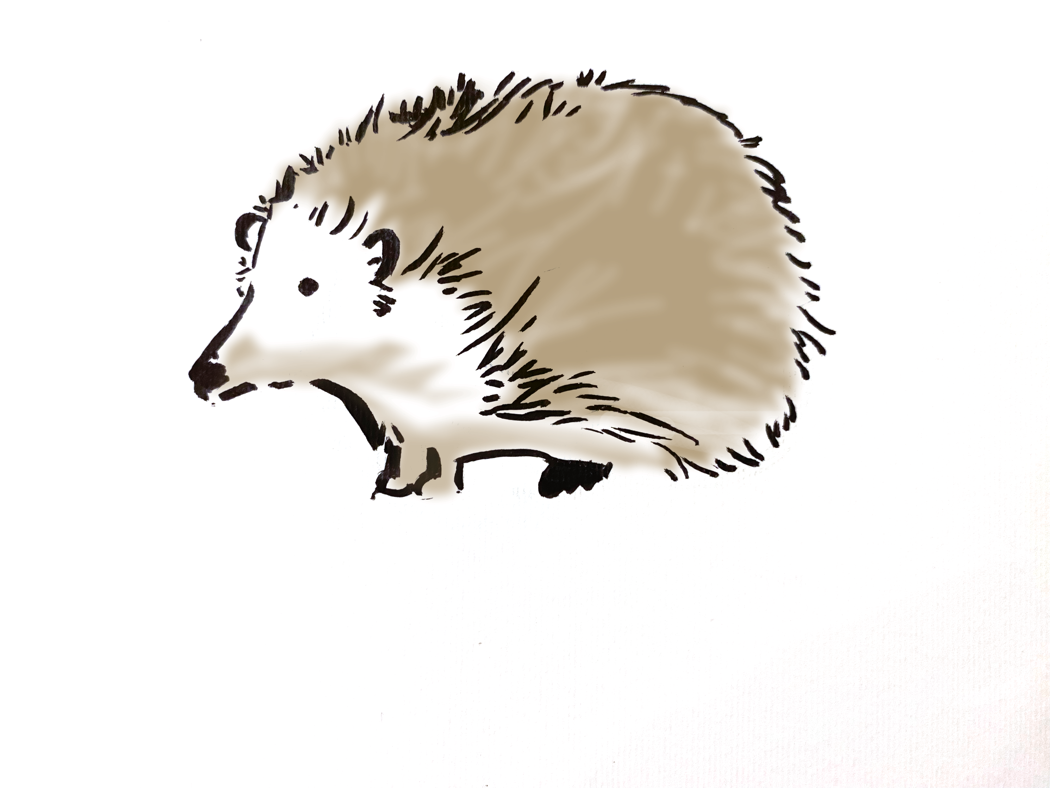 New Scientist magazine, pointless animal experiments, tractor protest and through the microscope at HART Wildlife Rescue