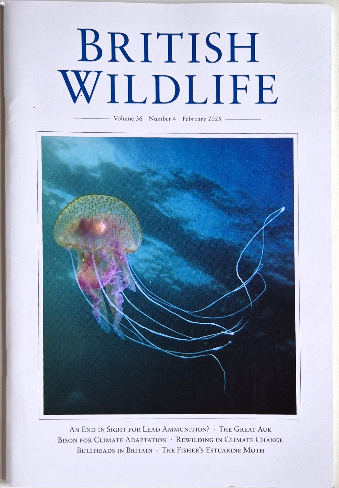 British Wildlife magazine February 2025: the rest of the issue