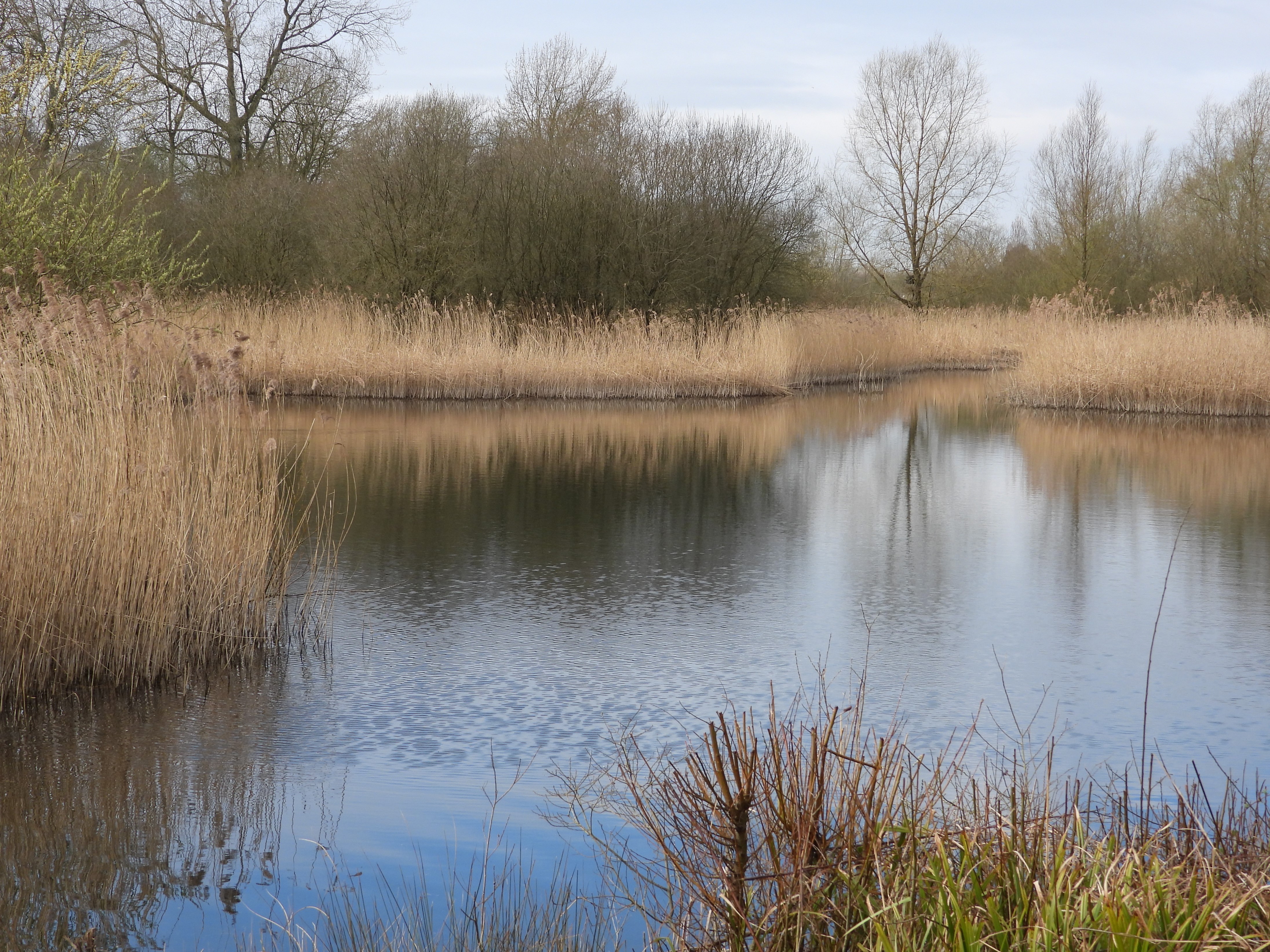 Cleveland Lakes Nature Reserve