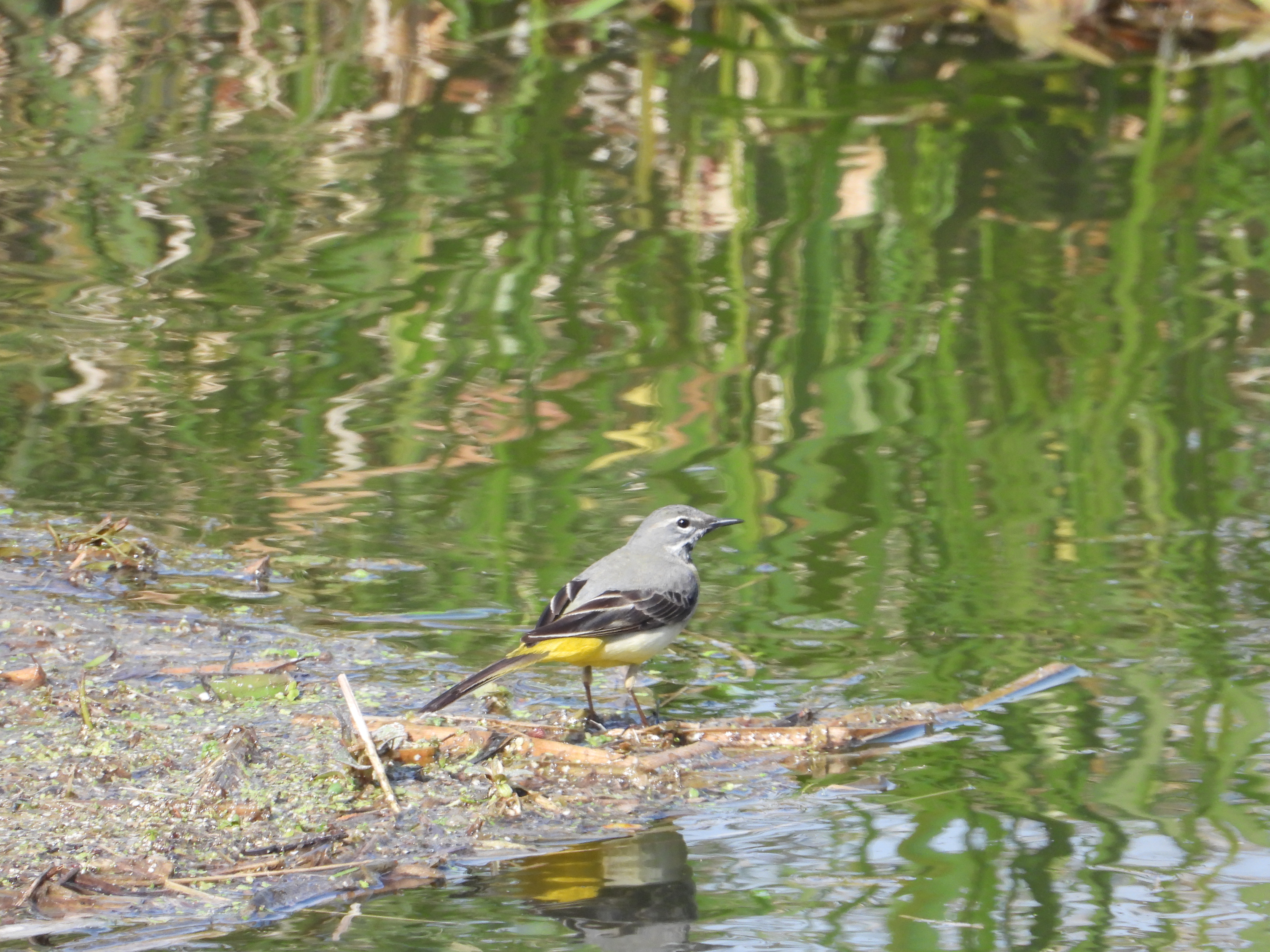 The Kennet & Avon Canal part II