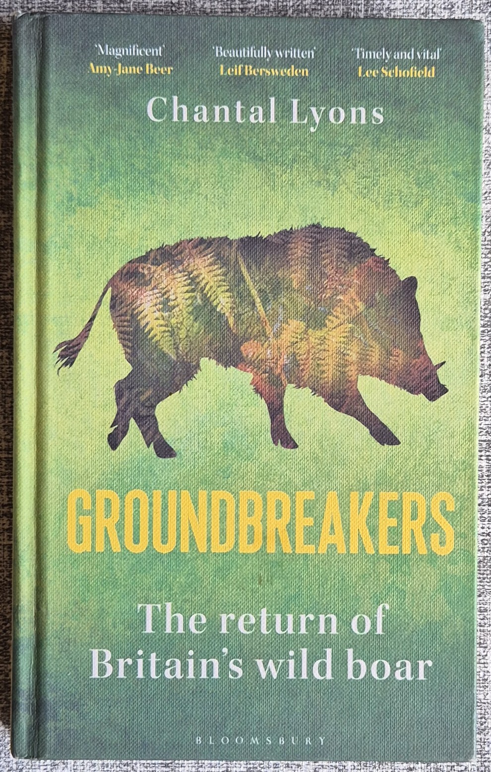 Wild Boar – Groundbreakers