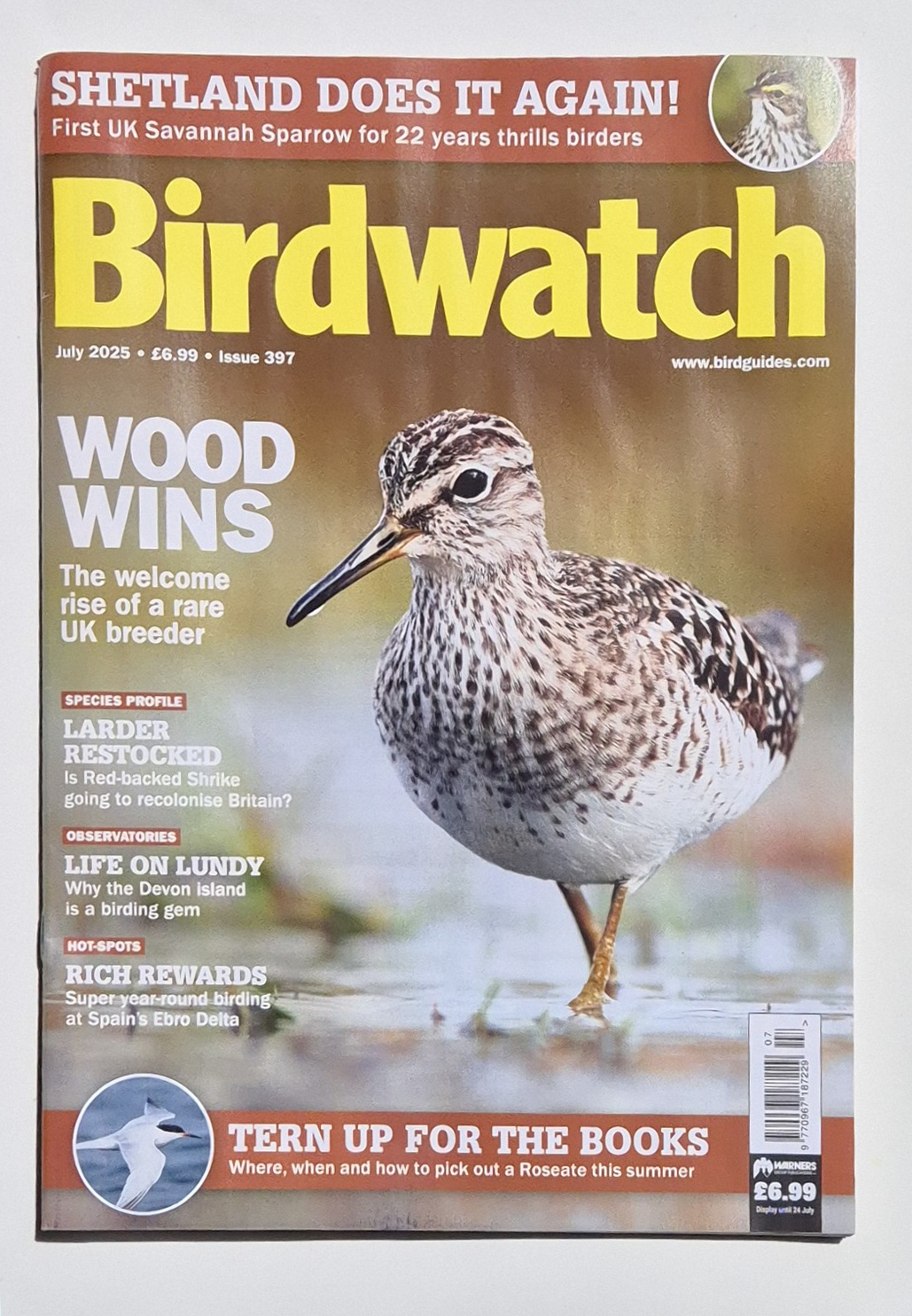 Birdwatch, BBOWT, BTO and RSPB magazines, Camp Beagle and a little bit of wonderful news