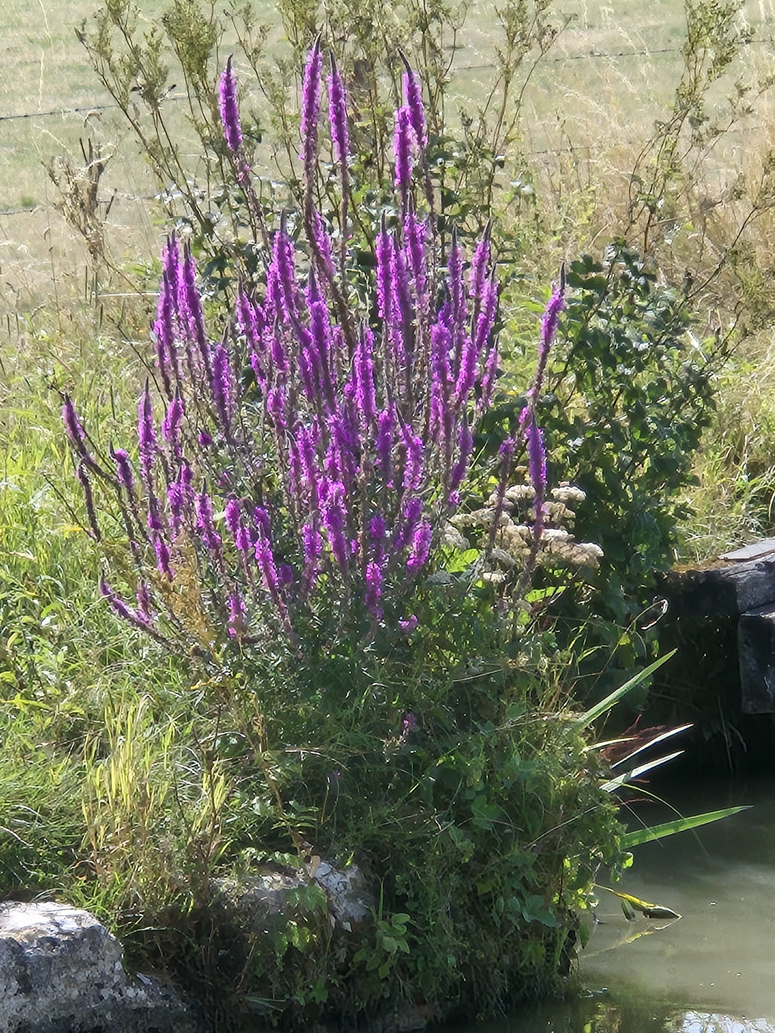 The Kennet & Avon Canal part XII