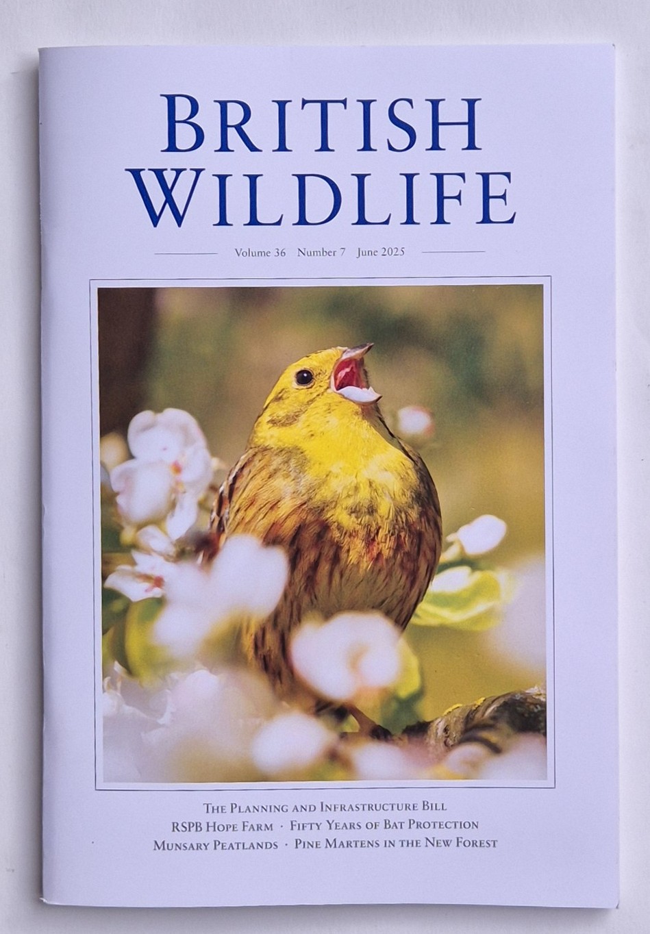 British Wildlife Magazine June 2025