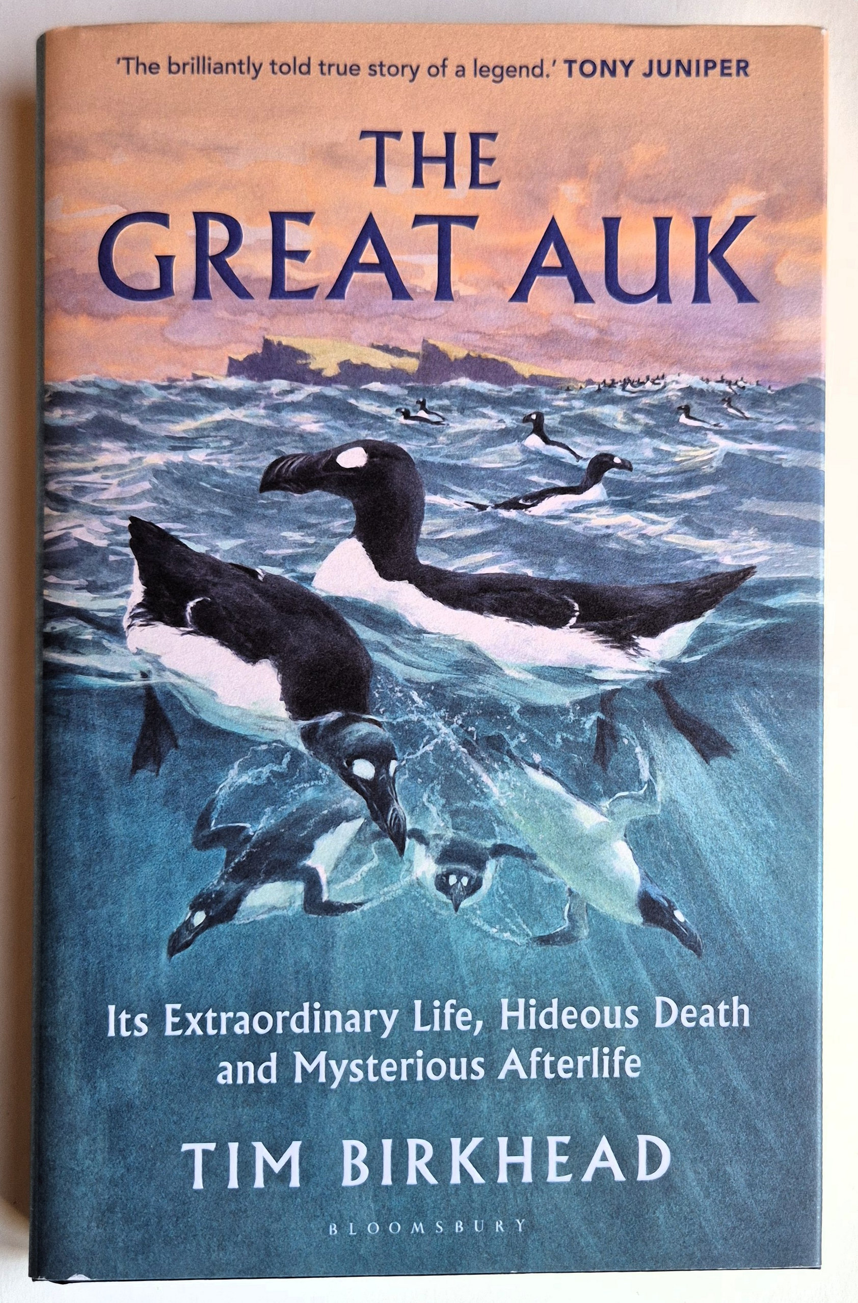 The Great Auk