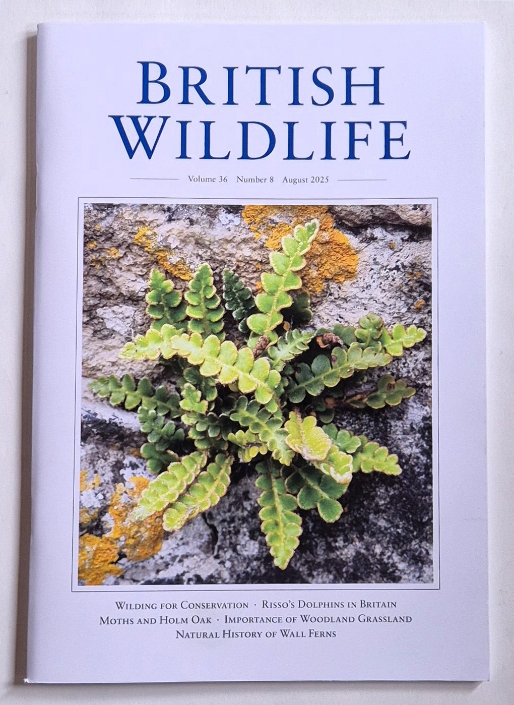 British Wildlife Magazine August 2025
