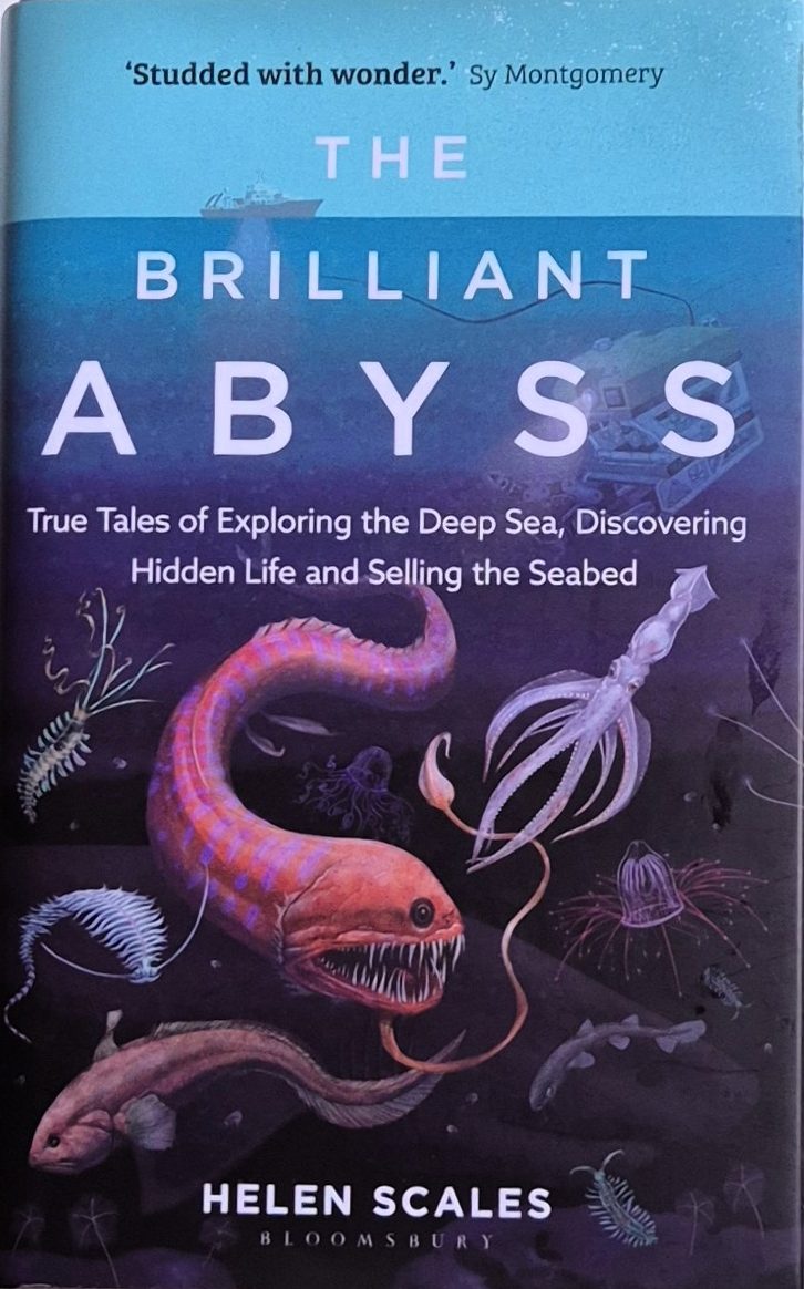 The Abyss