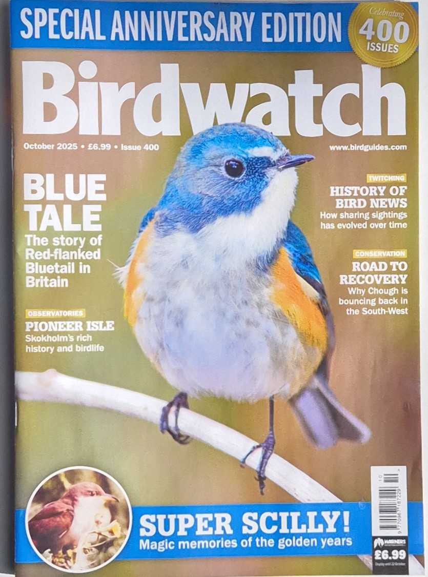 Birdwatch magazine October 2025, Choughs, the Isle of Wight, hard drugs and the latest from Starmer