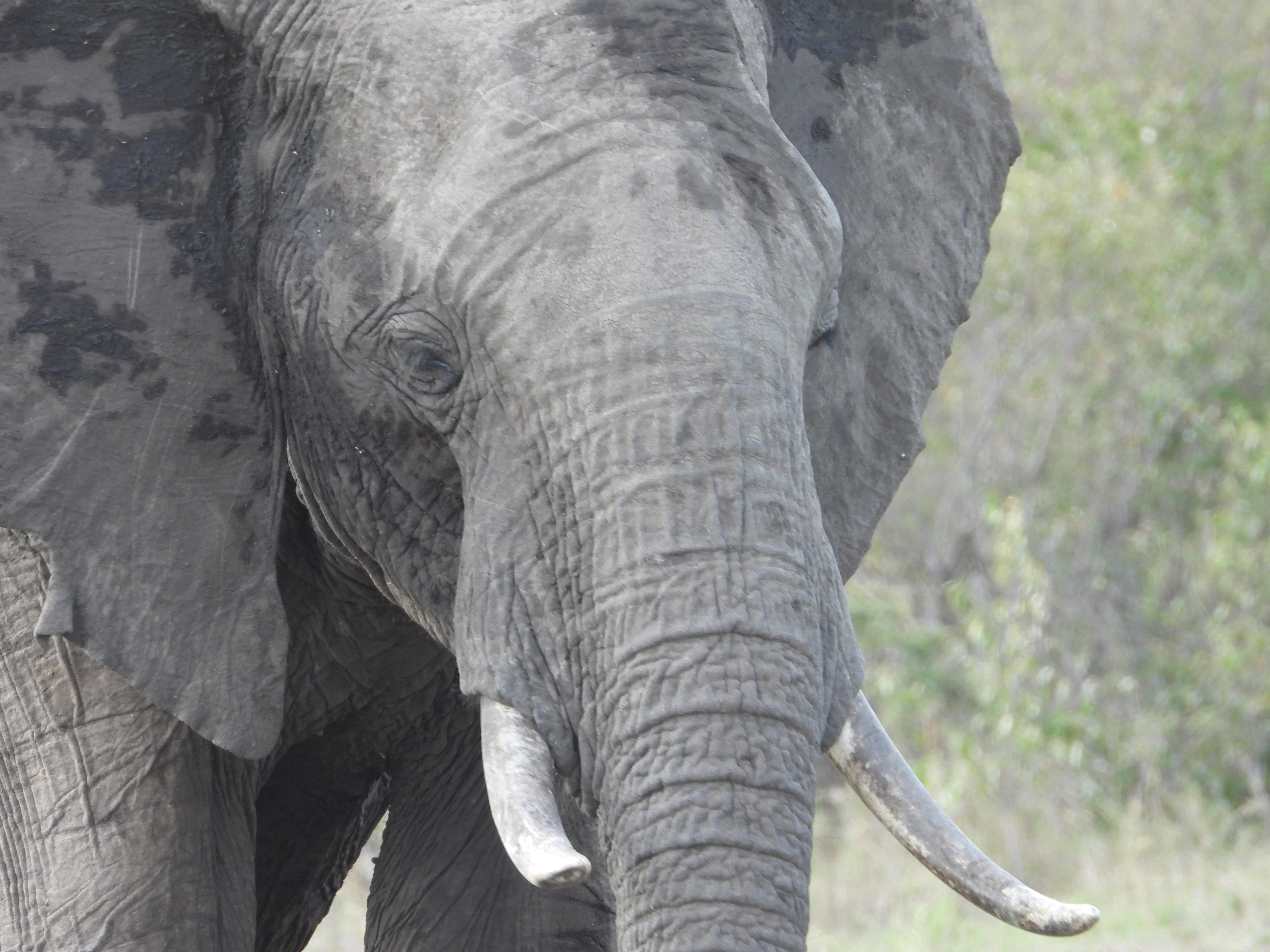 Royal Babylon and an accounting error