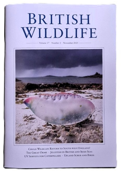 British Wildlife Magazine November 2025 and Labour’s animal welfare proposals