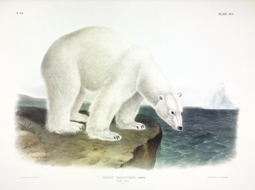 Gordon Buchanan and Me; flea treatments for domestic animals; Peregrine Falcons, the illegal trade; George Monbiot