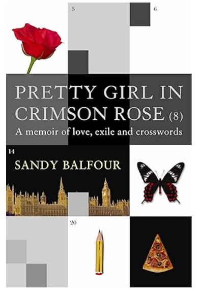 Pretty girl in crimson rose (8)