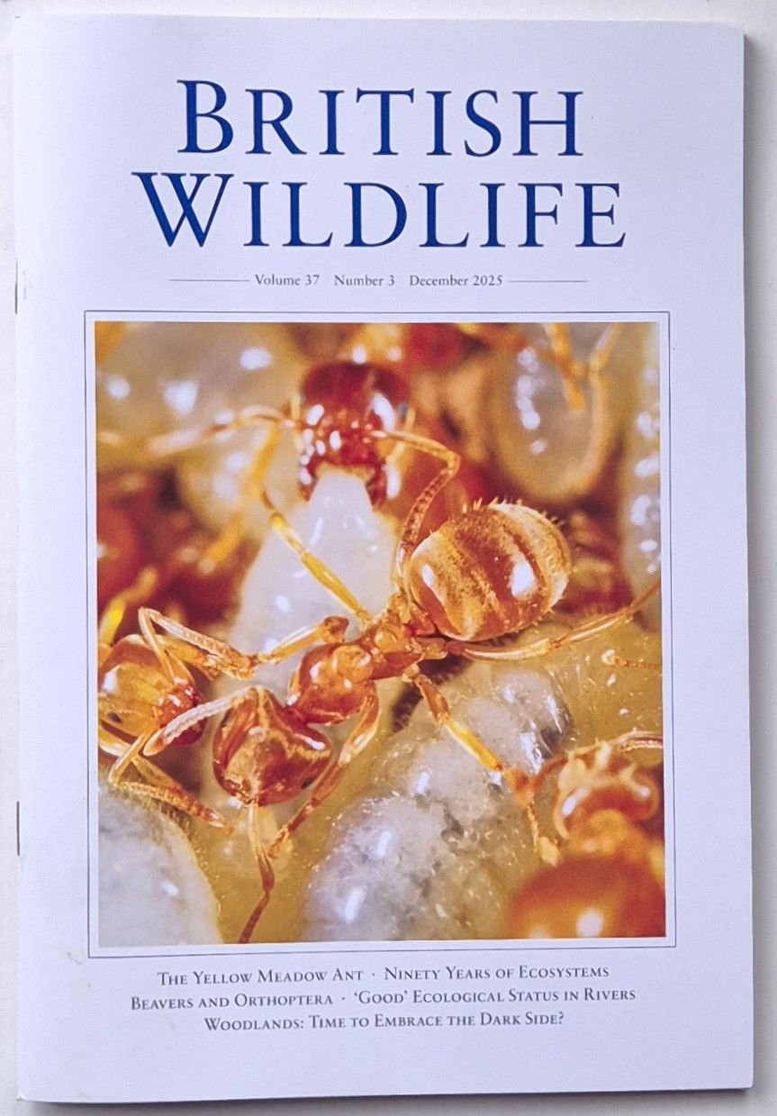 British Wildlife Magazine December 2025