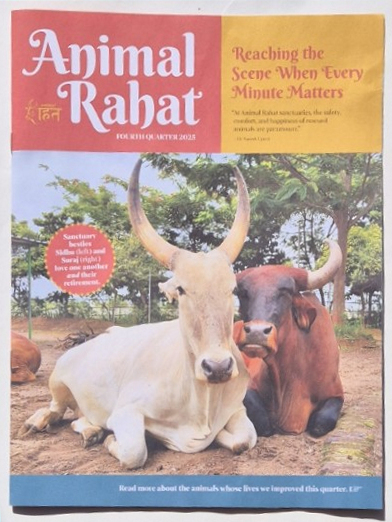 Cognitive dissonance (Cheltenham again), the guga hunt and Gordon Ramsay, ‘magic numbers’, the nature of time, Keith Mann  and Alexandra Paul, scones, the Royal Mint, Animal Rahat and more