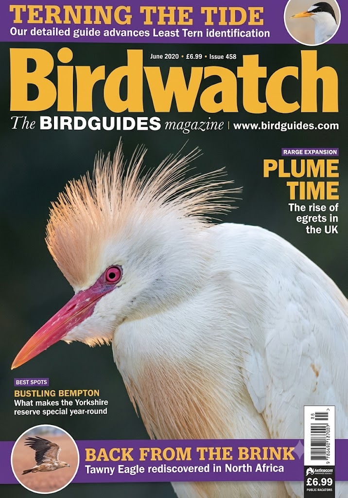 Birdwatch x 3
