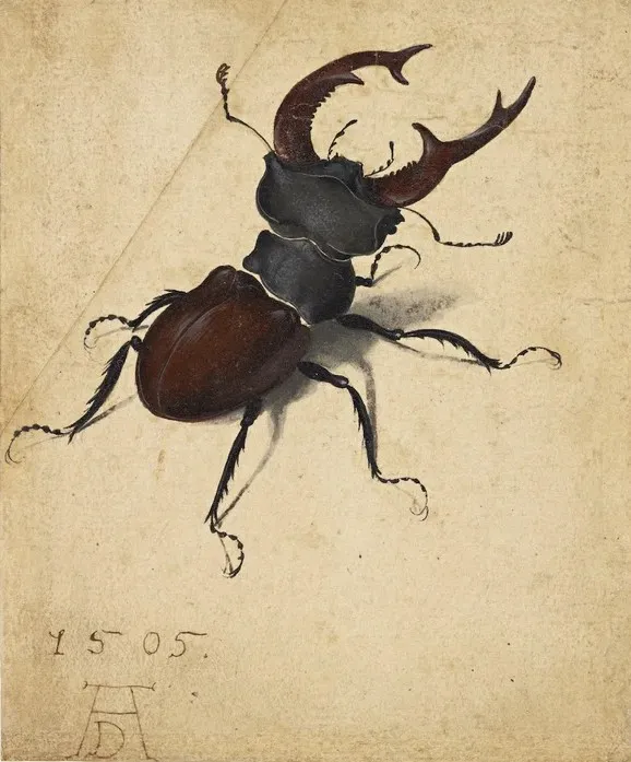 Pippa’s Ugly Car Park, Bearskin Caps and a Stag Beetle